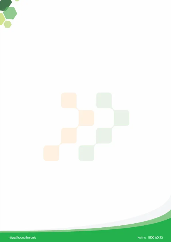 Letterhead Trường Thịnh Group